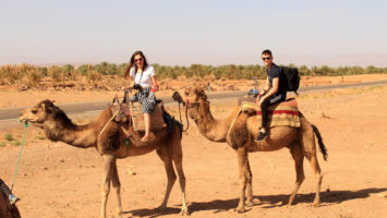 Riding Camels in the Sahara Desert