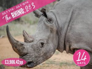 South Africa 2022 Rhino 2 & 3 Test Package